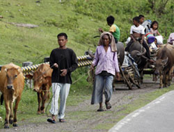 Filipinler ambargosu 'kalksın'