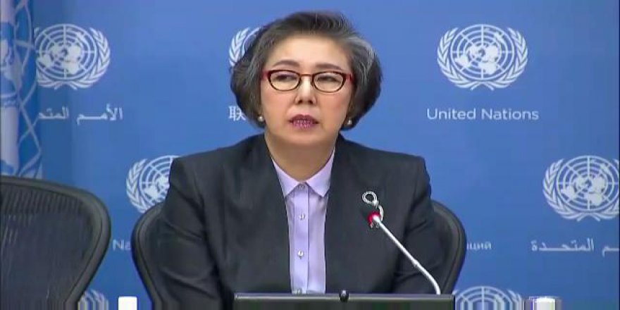 BM Myanmar Raportöründen BMGK'ya Arakan Çağrısı