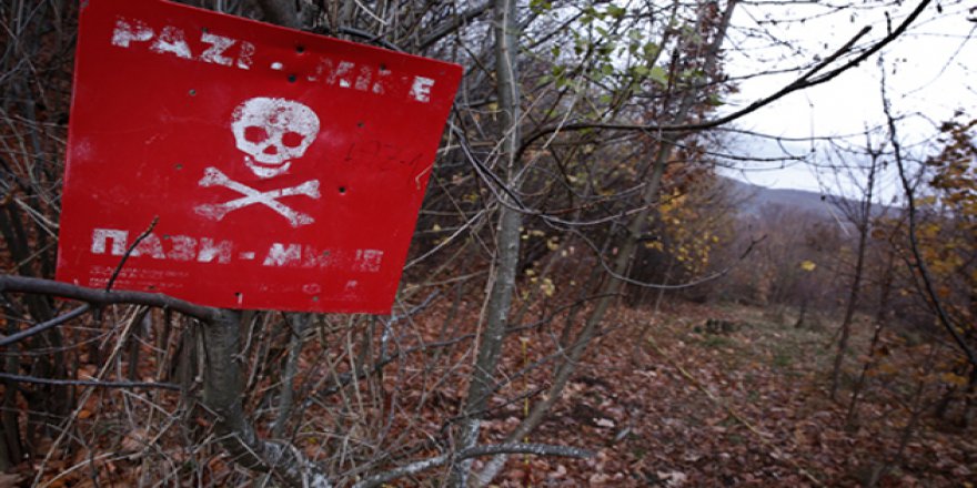 Bosna'daki Savaşın Kapanmayan Yarası: Mayınlı Araziler