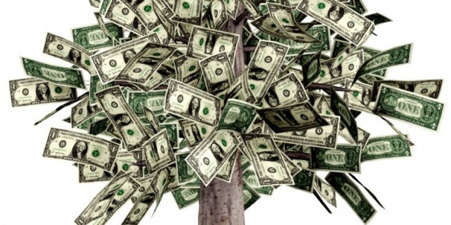 5 Yılda 330 Milyon Lirayı Yıl Başı Ağacına Taktık