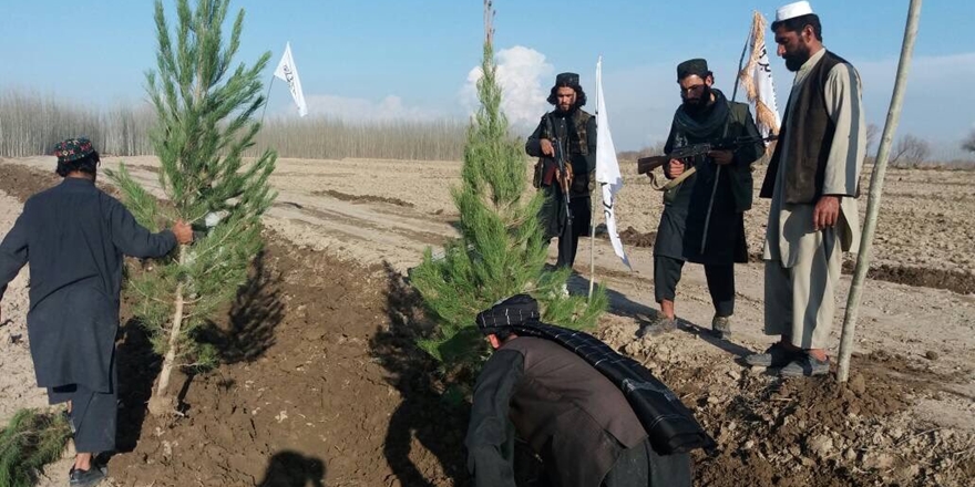 Taliban’dan “Fidanlar Toprağa” Kampanyası