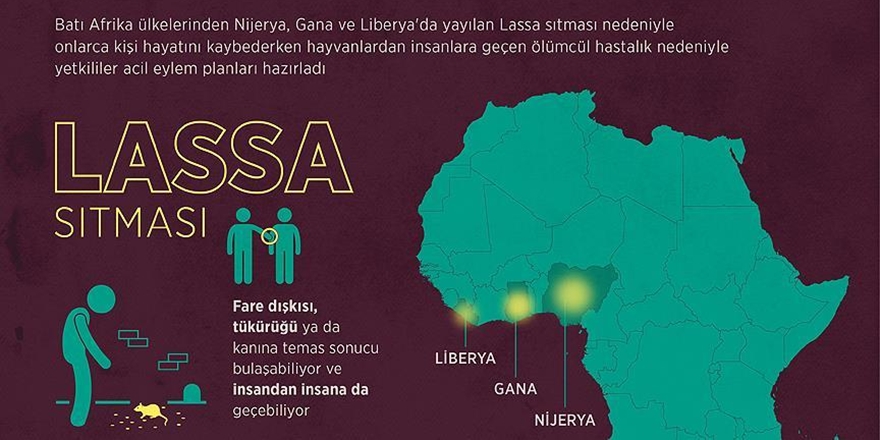 Batı Afrika Ülkelerinde “Lassa Sıtması” Alarmı!