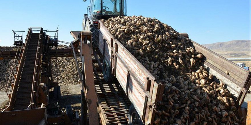 Bor ve Kırşehir Şeker Fabrikalarının Özelleştirilmesi İhalesi Yapıldı