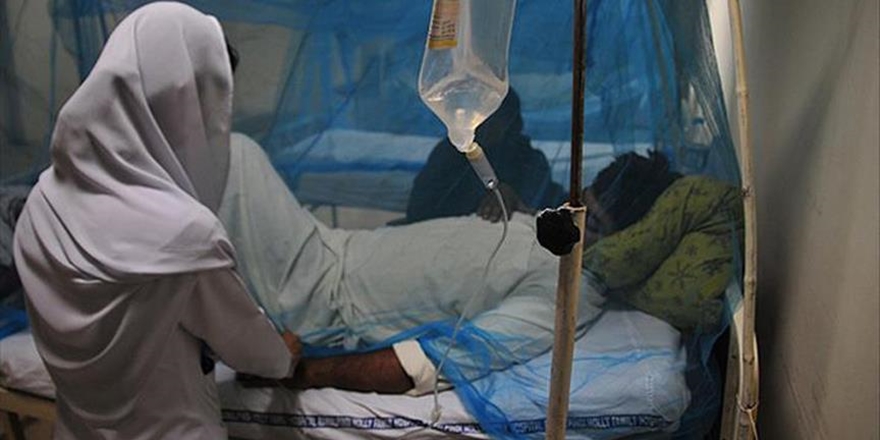 Hindistan’da Nipah Virüsü Salgını: 10 Ölü