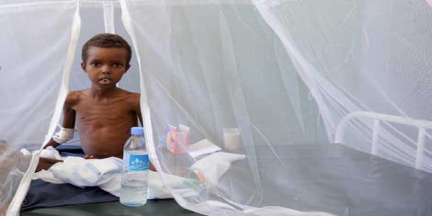 Somali İnsan Tacirlerinin ve Organ Mafyasının Hedefinde