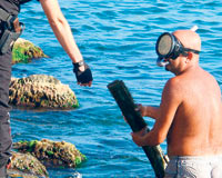 İstanbul'da denizden yine "boru" çıktı!