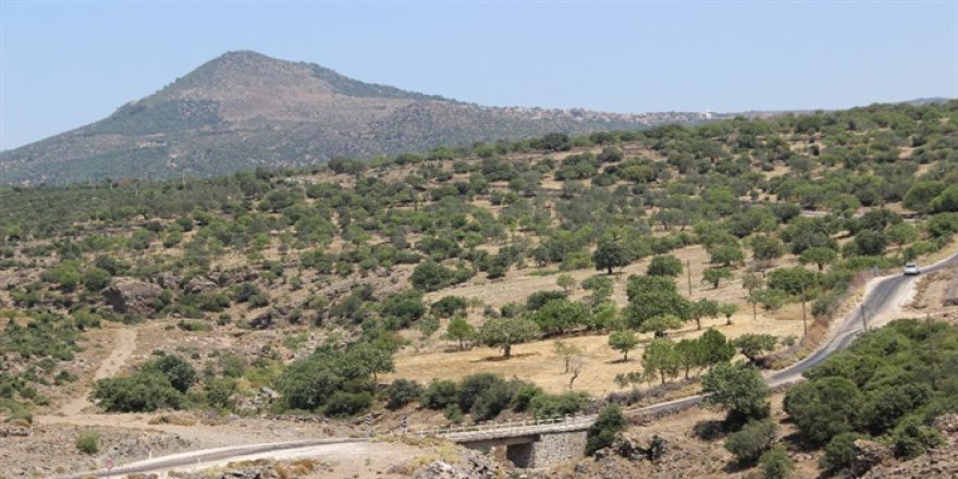 İlk Kiralama Gerçekleşti: Aylık 36 Lira