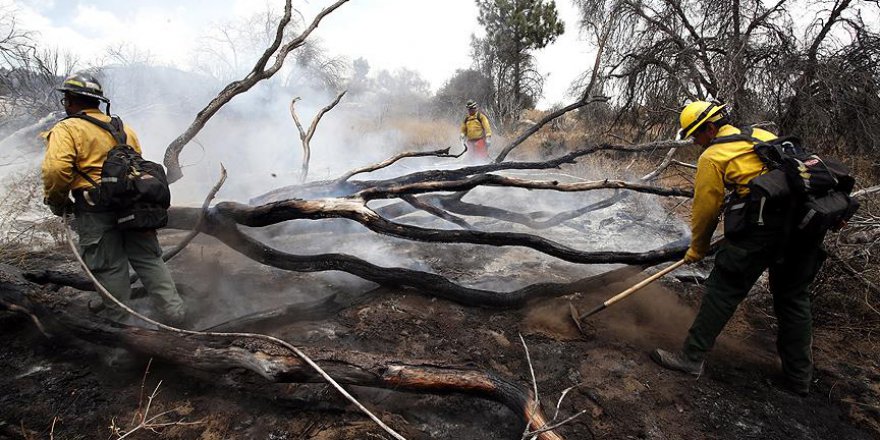 California'daki Yangınlarda Ölü Sayısı Artıyor