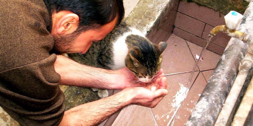 Merhamet  Etmek veya Aldır Gönül