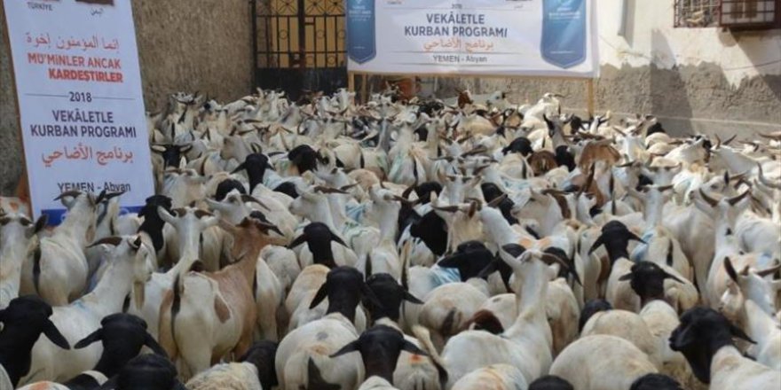 Türkiyeli Yardım Derneklerinden Yemen'de Kurban Bağışı
