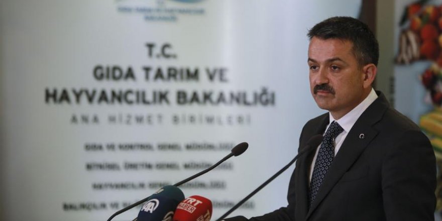 Şarbonlu Hayvanlar Hiçbir Şekilde Piyasaya Verilmedi