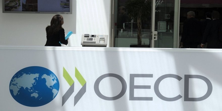 OECD'den 2008 Finansal Krizi İtirafı