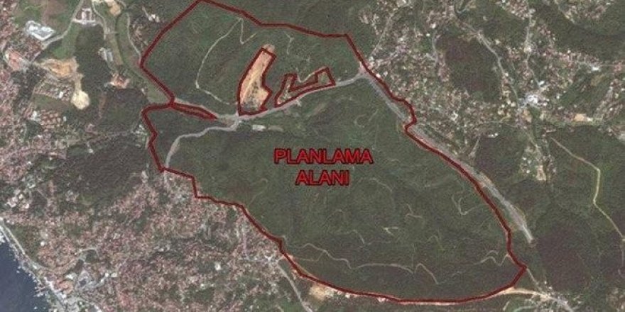 Beykoz'da Ormanlık Alanda  54 Villaya İzin