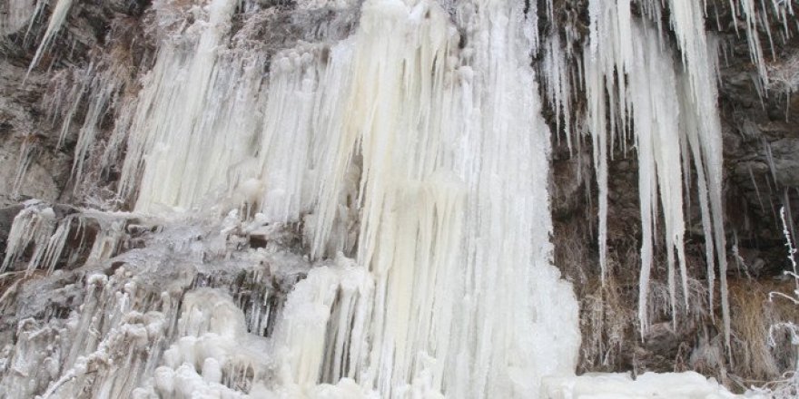 Ardahan'da Soğuk Hava Şelaleyi Dondurdu