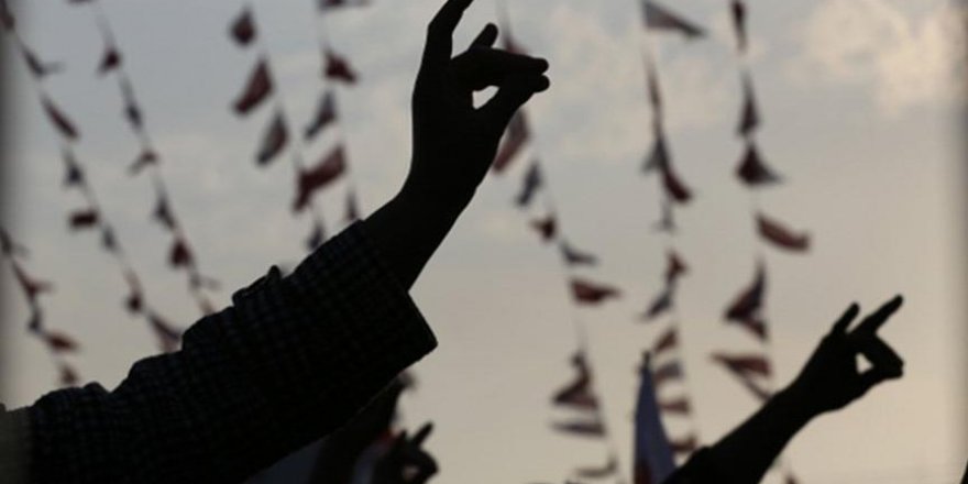 Türkiye'den Bozkurt İşaretini Yasaklayan Avusturya'ya Kınama