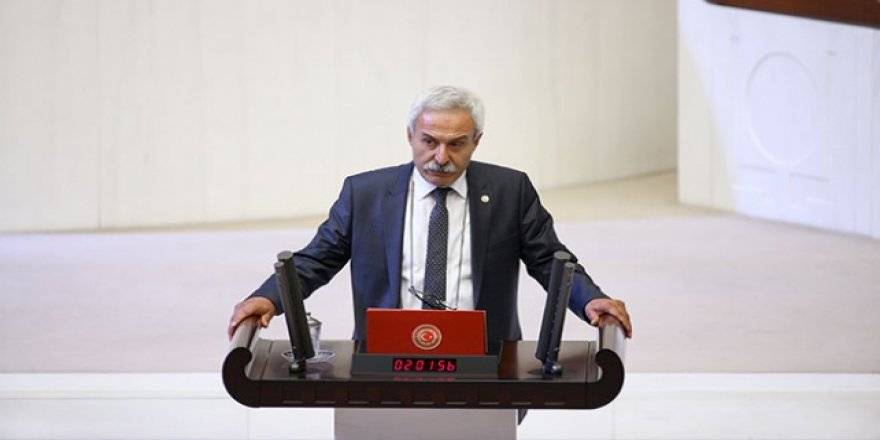 Diyarbakır'da HDP Adayı Mızraklı Kazandı
