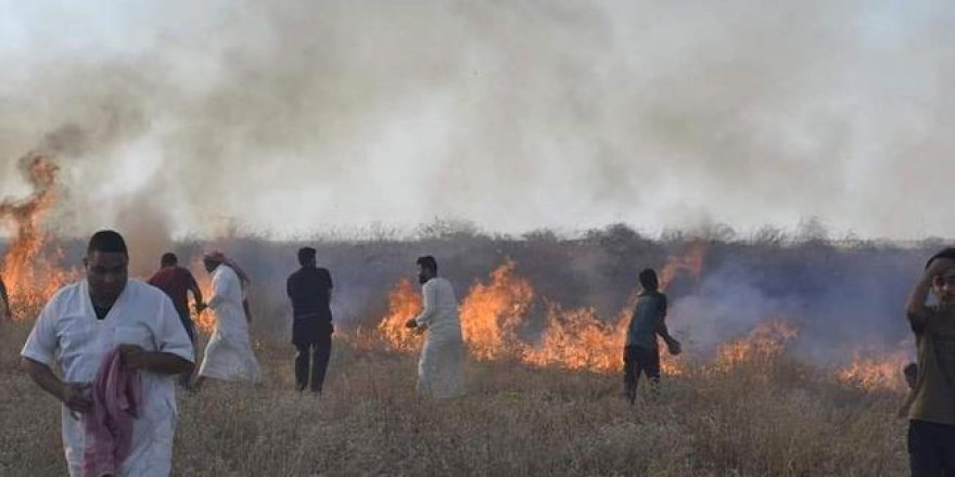 Irak'ta Son Bir Ayda 40 Bin Dönüm Tarım Arazisi Kül Oldu
