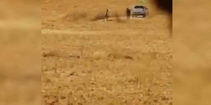 YPG/PKK'lar Tarım Arazilerini Yakarken Görüntülendi