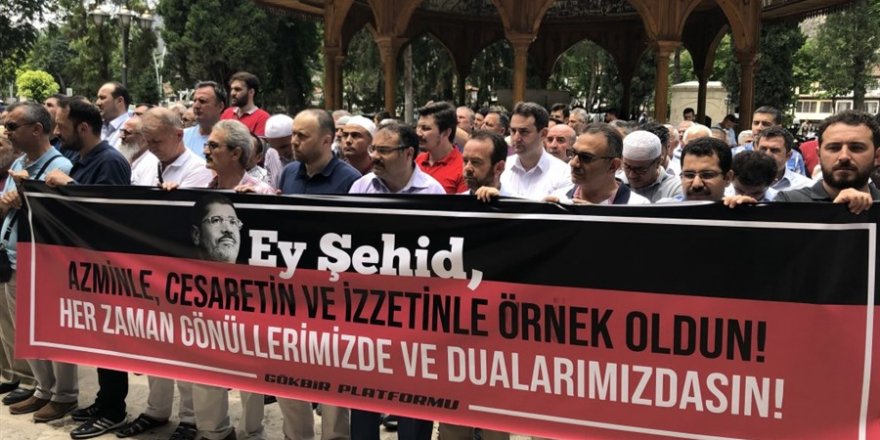 Sisi Cuntası Amasya'da Protesto Edildi