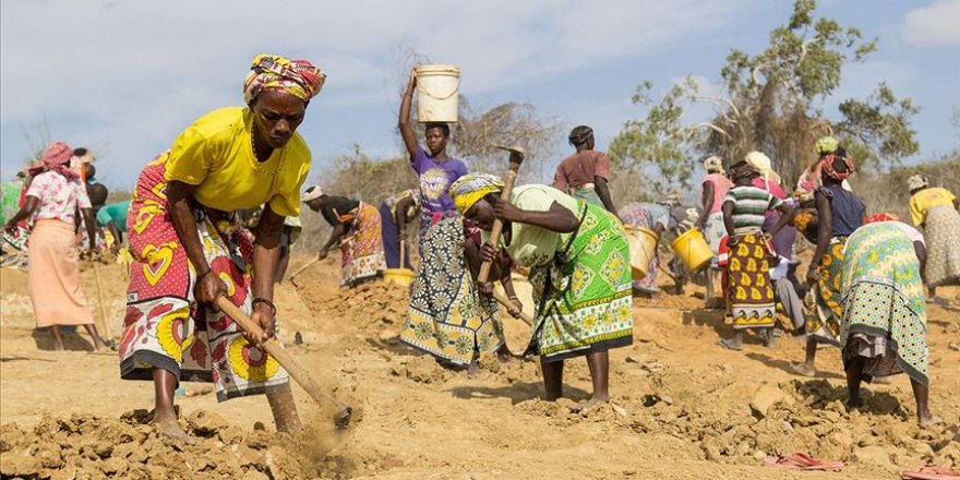 Kenya'da Kuraklık Nedeniyle Çok Sayıda Kişi Açlık Tehdidi Altında