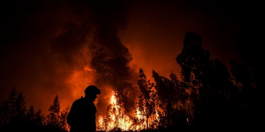 Portekiz'de Binden Fazla Kişi Orman Yangınını Söndürmeye Uğraşıyor