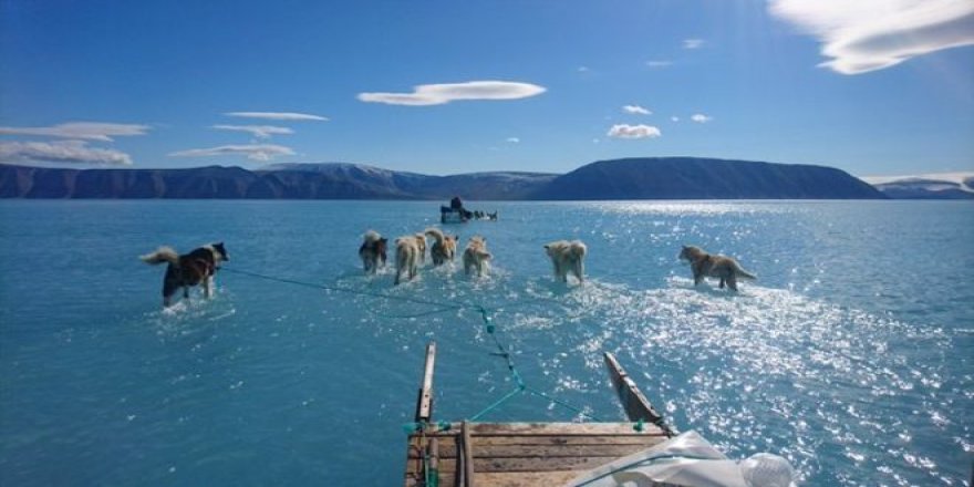 Grönland Eriyor: Dünya Çapında Deniz Seviyesi Bir Ayda 0.5 Milimetre Yükseldi