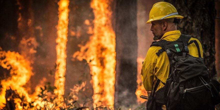 Amazon Ormanlarında Yılbaşından Bu Yana 72 Binden Fazla Yangın Çıktı