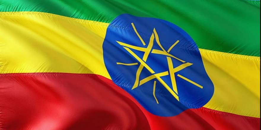 Etiyopya'da İki Yardım Çalışanı Öldürüldü