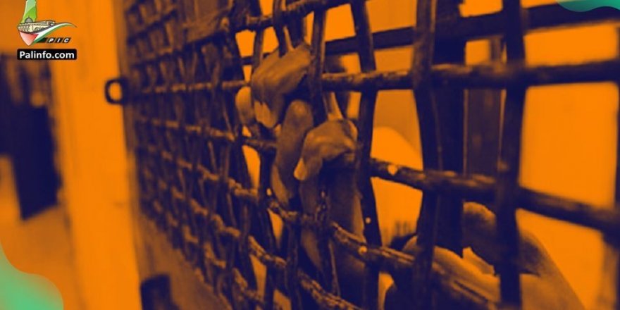 Oslo Anlaşması’ndan Bu Yana 120 Binden Fazla Filistinli Gözaltına Alındı