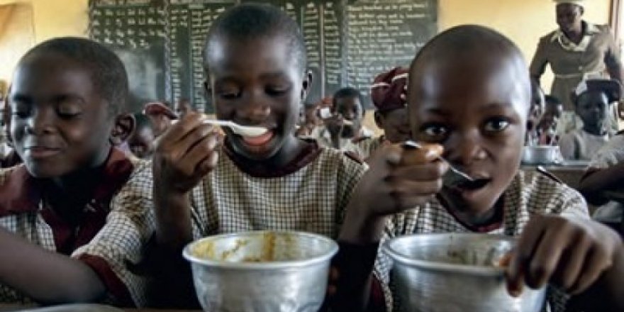 UNICEF'den Nijerya'da Açlık Krizi Uyarısı