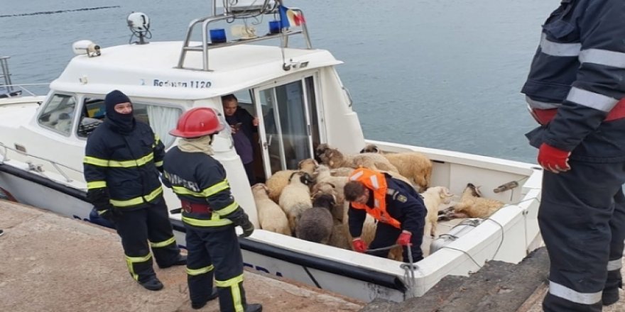 Binlerce Koyun Taşıyan Yük Gemisi Romanya Açıklarında Alabora Oldu