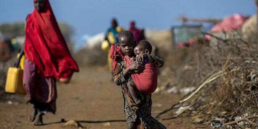 Zimbabve'de Nüfusun Yarısından Fazlası Açlıkla Karşı Karşıya 