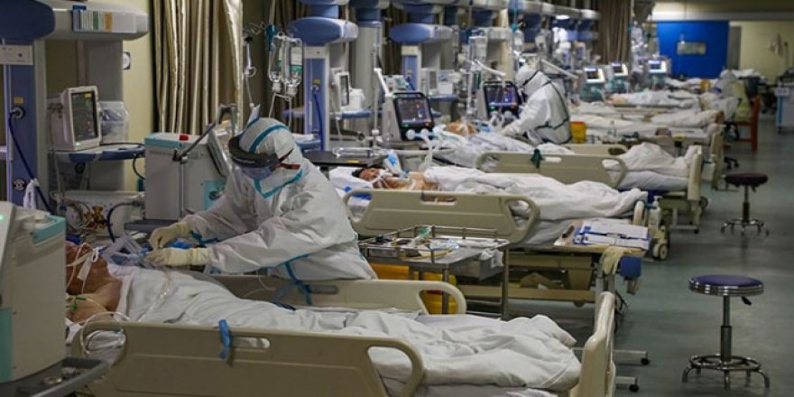 Japonya'da Karantinadaki Gemide Koronavirüslü Sayısı 355 Oldu