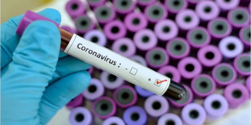 İran'dan Gelen Uçakta Koronavirüs Şüphesi