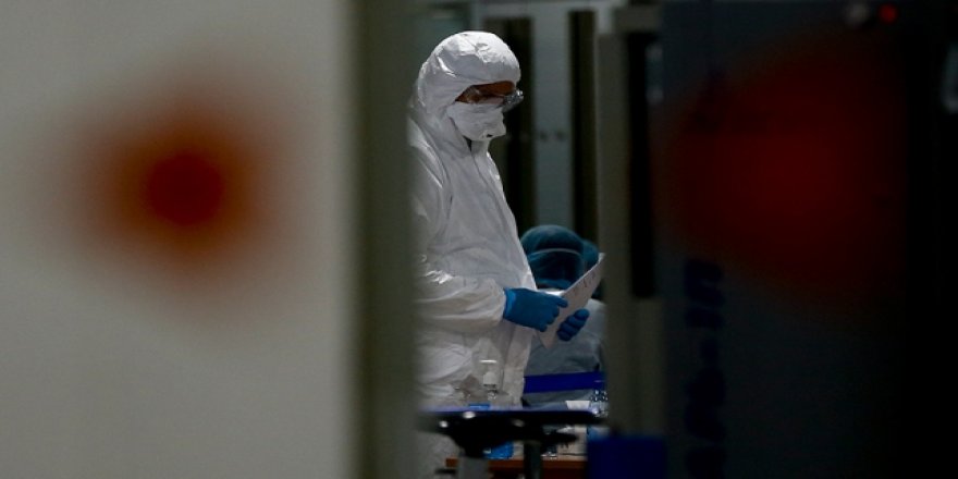 Rusya'da Koronavirüslü Vaka Sayısı 17'ye Yükseldi