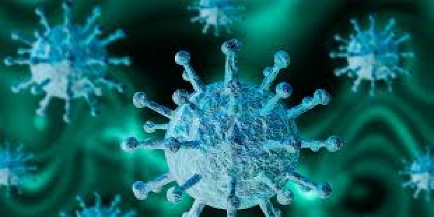 DSÖ: Avrupa Artık Koronavirüs Krizinin Merkez Üssü Haline Geldi