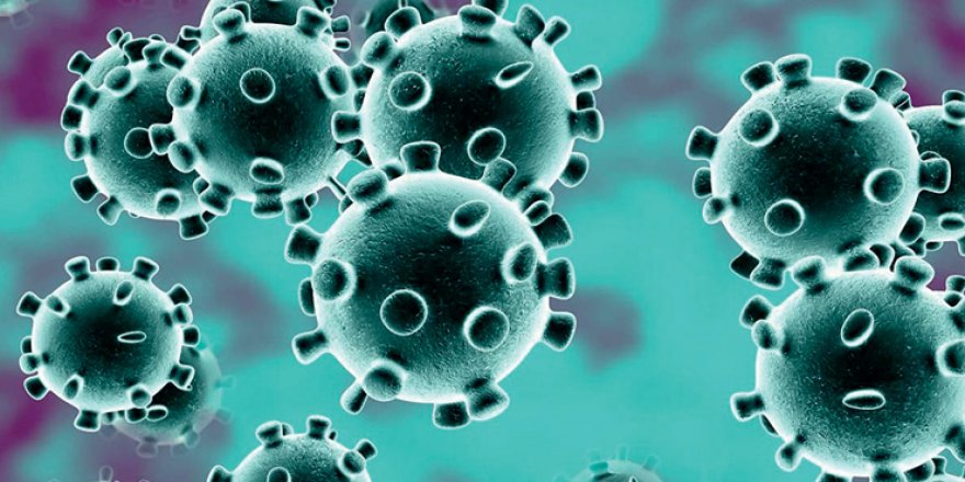 Türkiye’de Koronavirüs Vaka Sayısı 34 Bin 109’a, Can Kaybı 725’e Çıktı