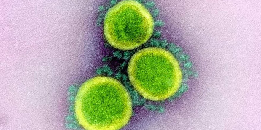 “Koronavirüs Sürekli Mutasyona Uğruyor Ve 3 Koldan Saldırıyor”
