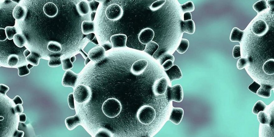 Türkiye’de Koronavirüs Vaka Sayısı 56 Bin 956’ya, Can Kaybı 1198’e Çıktı