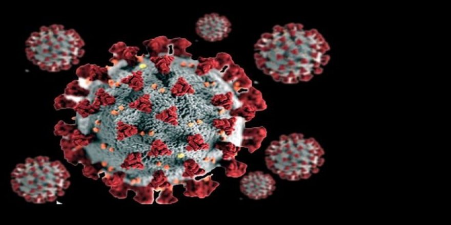 ABD'li Uzmanlar 'Virüsün Mutasyonu İlk Halinden Daha Bulaşıcı Olabilir' Diyor