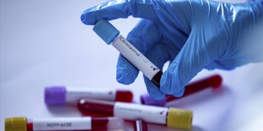 Brezilya ve Hindistan'da Koronavirüs Kaynaklı Can Kayıpları Artıyor