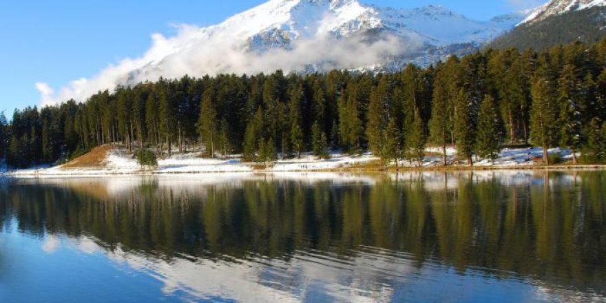 Sibirya'da 38 Derece Rekor Sıcaklık