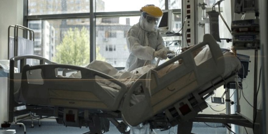 İyileşen Hastaların Antikor Seviyeleri Düşüyor