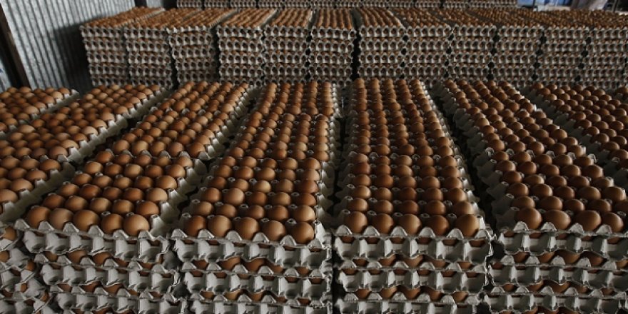 İran Yumurta İhracatını Durdurdu