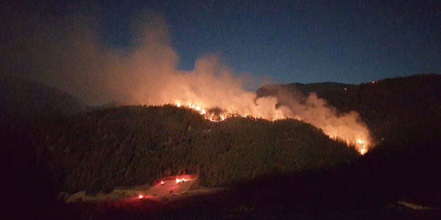 20 ilde çıkan yangınlardaki son durum