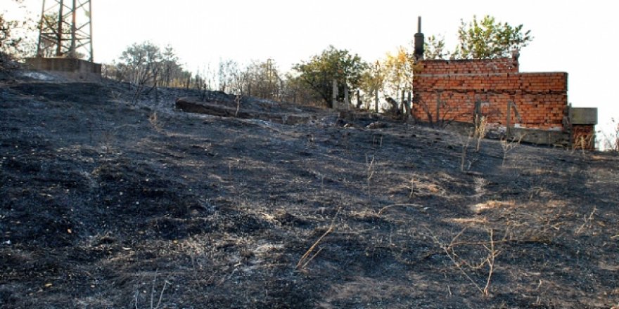 Bulgaristan-Türkiye sınırındaki yangın söndürüldü