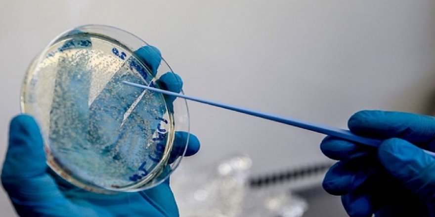 AB, COVID-19 aşısı için alım sözleşmesi imzaladı