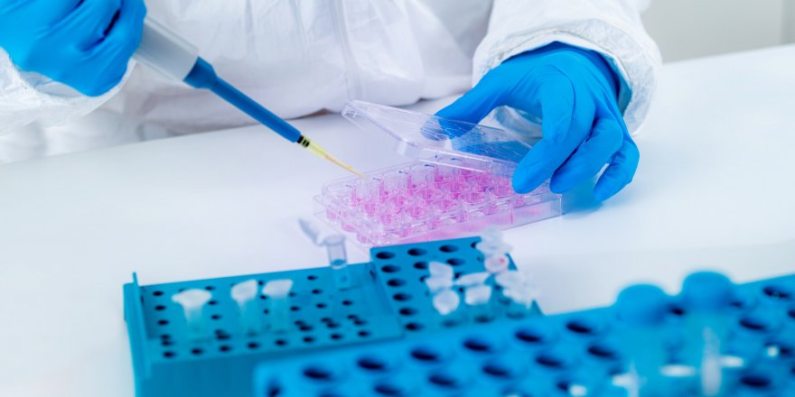 Trump yönetiminin Kovid-19 testi kılavuzunda değişikliğe gitmesi tepki çekti