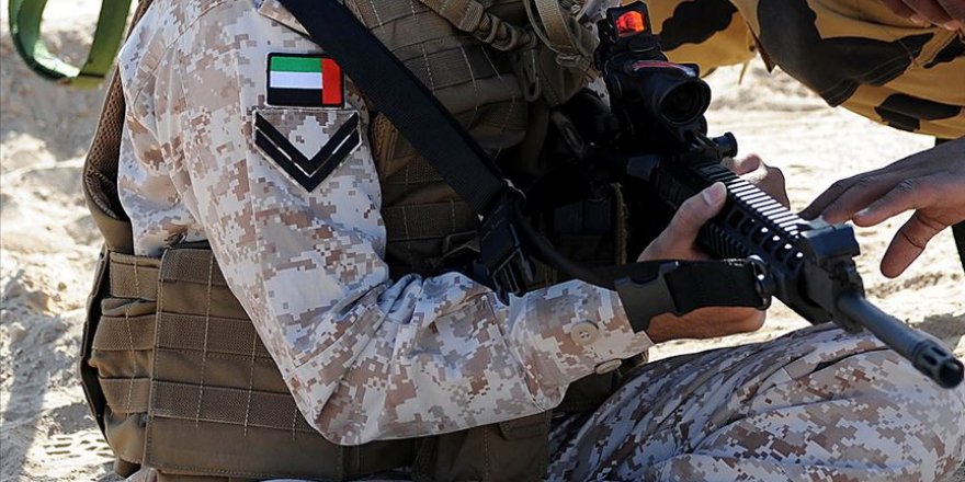 Birleşik Arap Emirlikleri ordusu: Bir envanter analizi