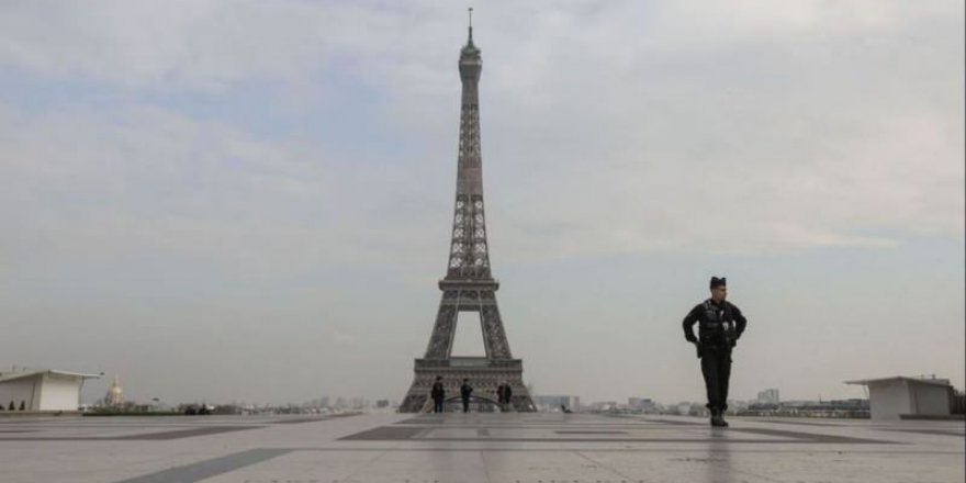 Olimpiyatların düzenleneceği medeni şehir Paris’te fare endişesi!